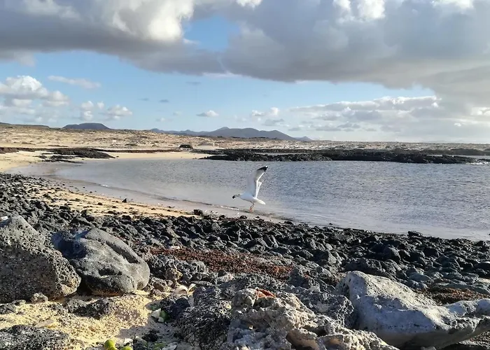 Apartment Casa Mar Y Dunas