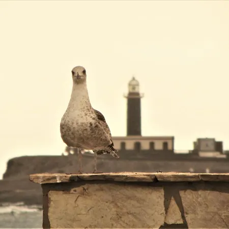 Casa Mar Y Dunas 公寓