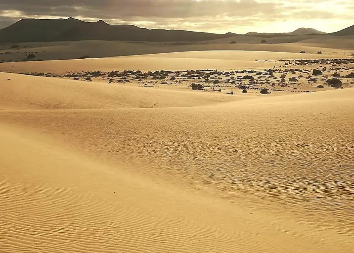 Casa Mar Y Dunas شقة *