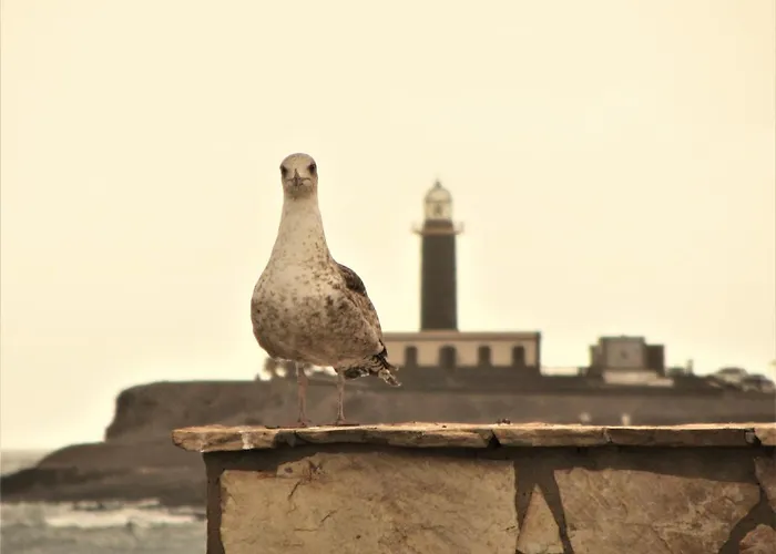 Casa Mar Y Dunas شقة
