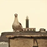 Casa Mar Y Dunas アパート