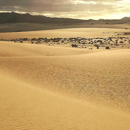 Casa Mar Y Dunas Daire *